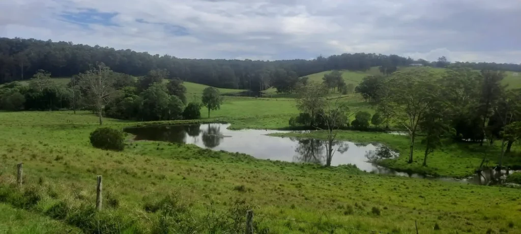 Coes Creek